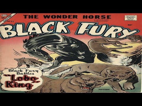 Black Fury 011 Comix Book Movie