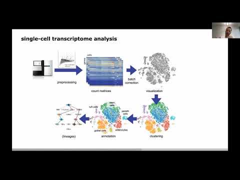 Keynote Speaker | Modeling cellular state and dynamics in single cell... - Fabian Theis - ECCB 2020