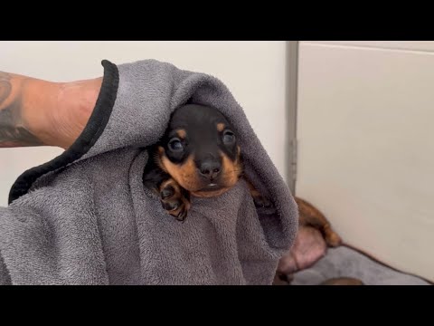 YouTube 썸네일