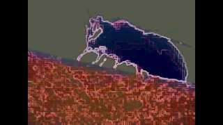 "Just GO With It "--zzzz atomic version 4- 2012 _kuniyuki