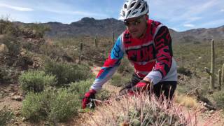 Enjoy a taste of riding among the giant saguaros on narrow singletrack.