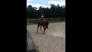 Hunter Course - The Fall