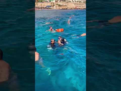 Egypt. Red Sea. Savoy hotel. December