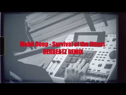 Mobb Deep - Survial of the fittest [Oerbeatz REMIX]