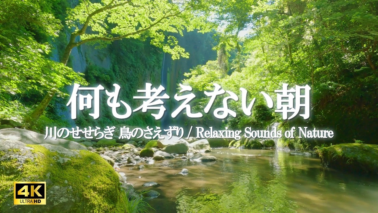 心地よい川のせせらぎと穏やかな鳥のさえずり | 自律神経を整える、リラクゼーション、癒しの空間づくり【自然音 4K relaxing nature sounds】