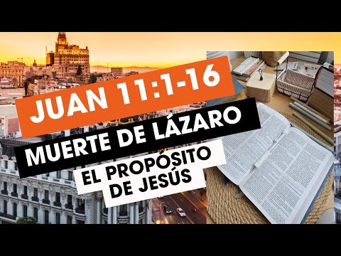 📖 Lazarus's Illness and Jesus's Purpose | John 11:1-16 | Bible Explained #BibleReading