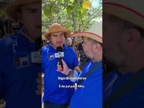 Cavalgada Catunda ceara