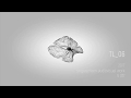 AMON TL 06