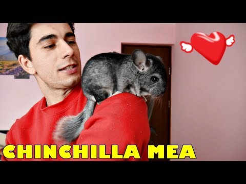 I GOT THE MOST BEAUTIFUL AND STRANGE ANIMAL IN THE WORLD!