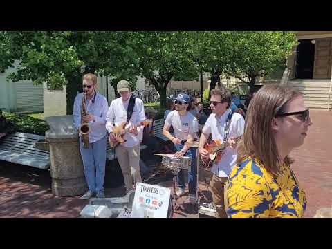 Black Magic Woman by Santana Cover Band (2023)