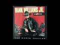 Rick Arnold; Hank Williams Jr Radio Interview about Hog Wild