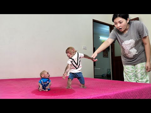 Bibi has trouble handling the situation where Lala wets the bed!