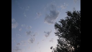 Paperclips - Travis (cover 2007)