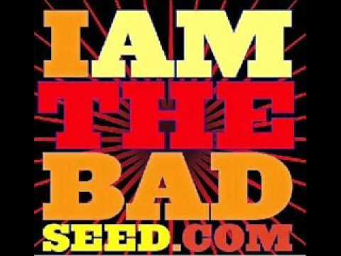 Bad Seed - Attack Of The Bloggers