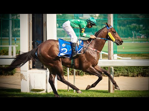 NONG BB - 02/02/2025 - Race 6 - Japanese Racing Association Trophy 2025