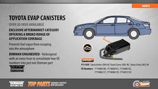 Evaporative Emissions System - Charcoal Canister - video thumbnail 3