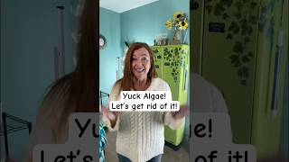 How To Remove Algae From Your Indoor Gardens.