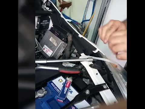 punte di massaggio di auto prostata