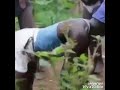 Umunye Umunye