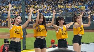 #汶汶#少鹽#白白#夏蕾#再來一顆好球三振他#PassionSisters#台湾チアリーディングチーム#中華職棒#CPBL#洲際棒球場#20240731