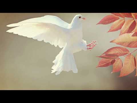 10 SALMOS FORTES E PODEROSOS DO MUNDO PARA OUVIR ENQUANTO DORME