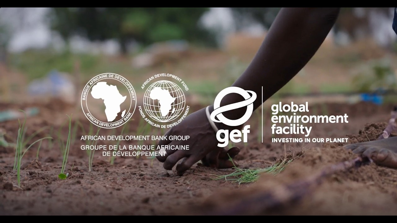 AfDB and GEF: Partners for Africa’s Future