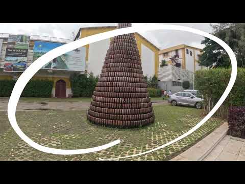 Sula Vineyards Nashik ๐ท | Go-Karting, Greenery & Wine Vibes