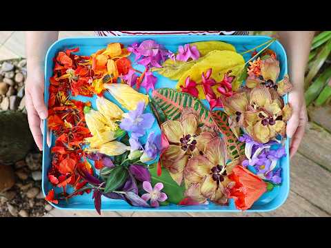 Vacation Is For Making Stuff