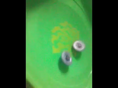 Berserker bahamed vs bandit golem