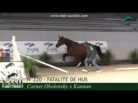 N°220 - FATALITE DE HUS - NASH 2018