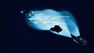 Horror of the deep for two please (subnautica two player mod)