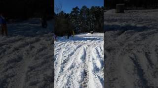 Moonshine bandits-on the run