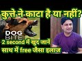 What To Do Immediately After A Dog Bite Kutte Ke Katne Par Kya Karen Dog Bites Treatment