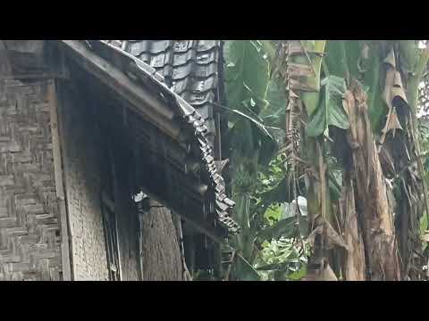 hujan petir stres hilang dalam 3 menit#suarahujan #hujan #hujanpengantartidur #rilaxing