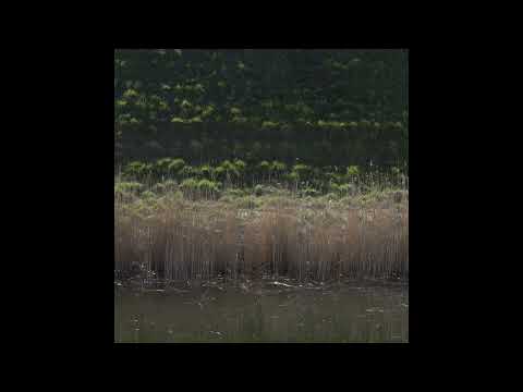 Unjin - Ein Hauch einer Gartensitzung