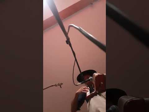 REJUNTE CHAMAMECERO (el Maiten chubut) 13/9/25