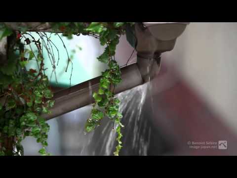 Ron Korb - Autumn Rain