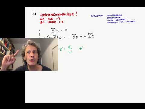 meca1321 : cours 2 : épisode 1 : adimensionnaliser ?