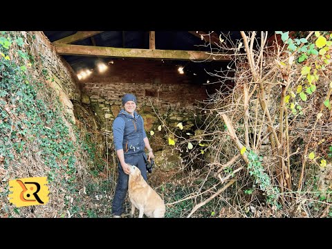 We Didn’t Expect This! More Walls, More Buildings (Ep.41)