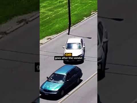 vandal regrets hitting cars with rocks  #roadrage