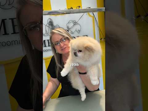 הכלב המיוחד שלנו עכשיו אפילו יותר מיוחד🐼😁