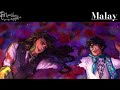 Encanto What Else Can I Do One Line Multilanguage In 44 Languages Male Version