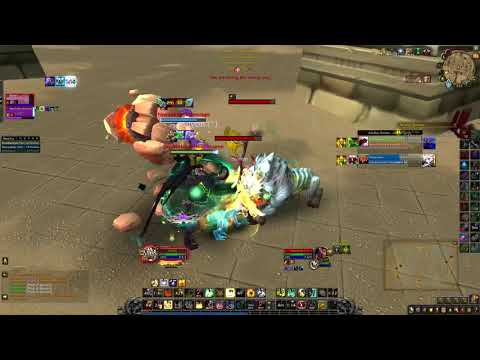 Ret Paladin Clapped By Shaman and Hunter. Shadowlands Arena skirms 2v2