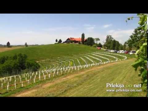 Salon Jeruzalem 2014