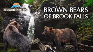 The Brown Bears of Alaska&#39;s Brooks Falls