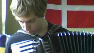 Barenaked Ladies - Little Tiny Song [Accordion cover]