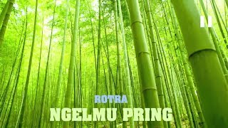 Download lagu Rotra - Ngelmu Pring [Makna Lirik Terjemahan] mp3
