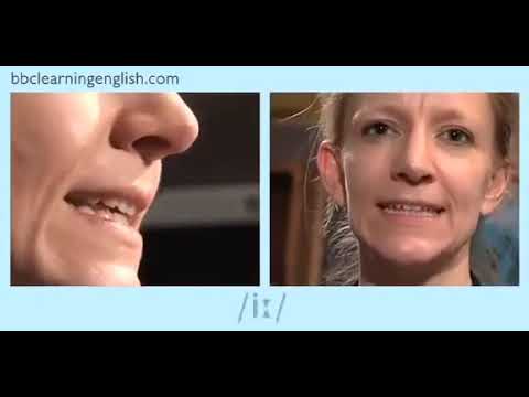 Luyện chuẩn phát âm 44 âm trong tiếng anh IPA