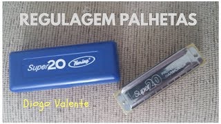Video thumbnail for Regulagem Gaita Super 20 - Diogo Valente by Diogo Valente