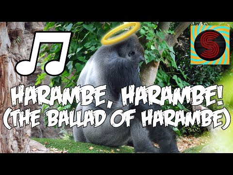 ONE YEAR ANNIVERSARY! Harambe, Harmabe! (The Ballad of Harambe) - First Take